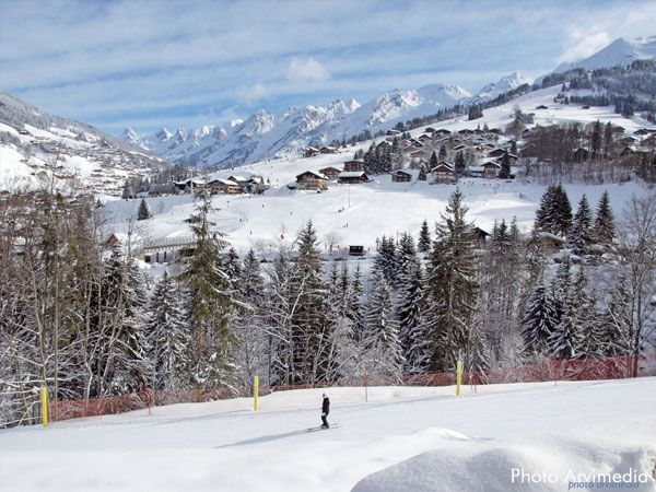 location appartement dans chalet la Clusaz