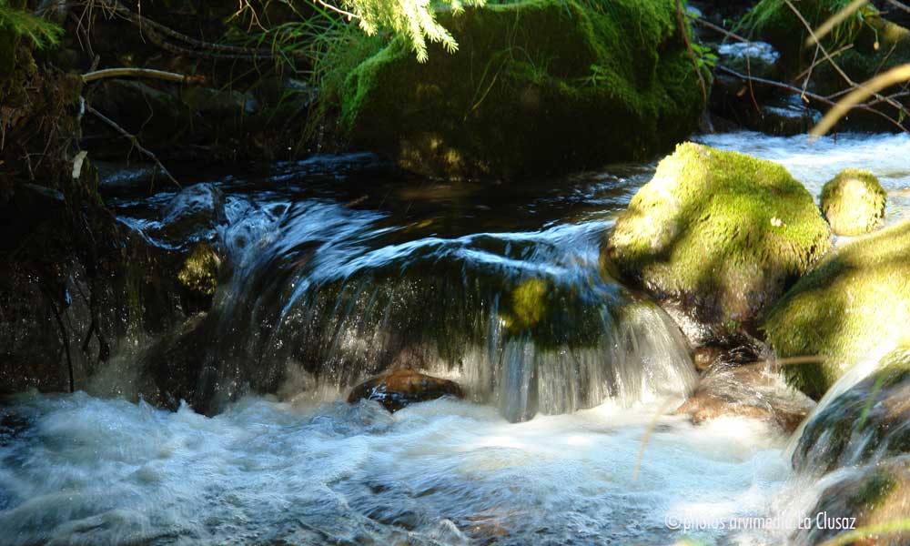 la montagne ent été, la nature est généreuse et vivifiante, la clusaz est un très beau village de montagne situé dans les Alpes